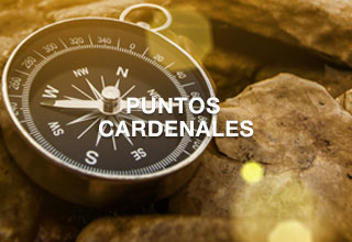 Sabias qué | IPS
