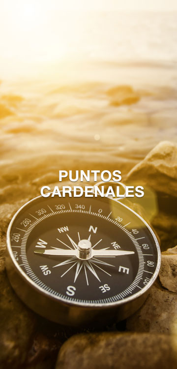 Puntos Cardinales | IPS